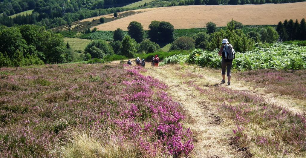Calendrier Randonnée Correze 2023 Retrouvance Millevaches, Corrèze-Creuse, 6 J./5 Nuits |