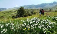 massif des monges au printemps