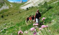 rando-famille-haute-alpes