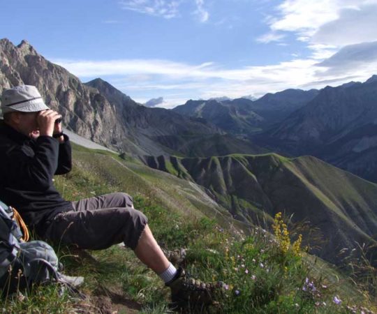 observation nature en montagne