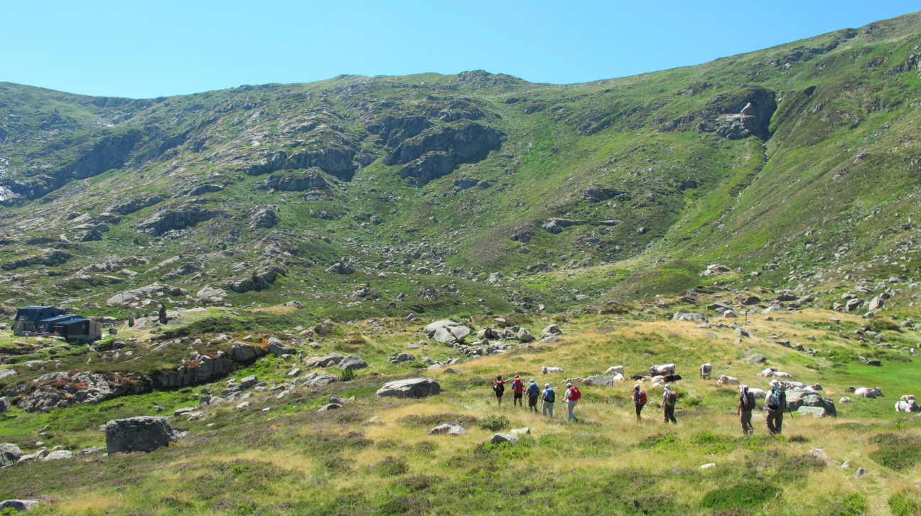 rando-alpage-Vicdessos-ariege