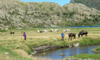 Randonnée Retrouvance Pyrénées Vicdessos