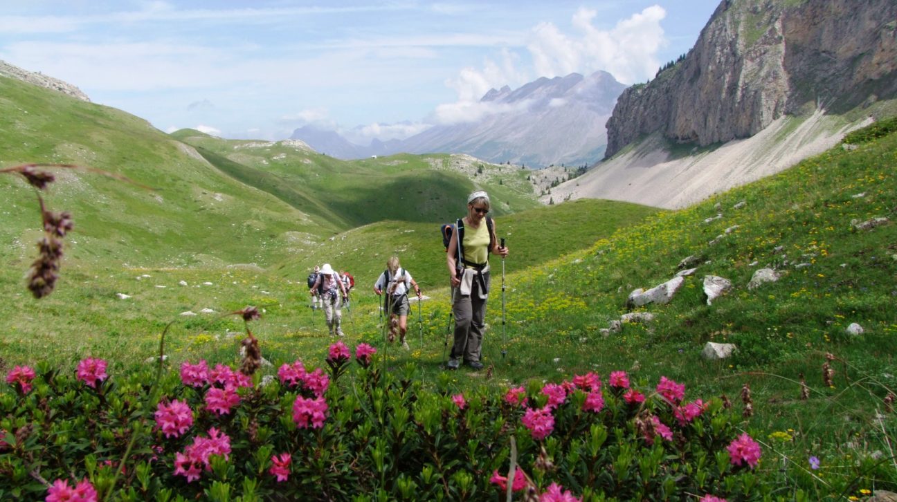 1 virée des massifs