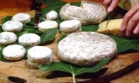 le-plaisir-de-déguster-des-produits-locaux-fromages-de-nos-amis-Axel-et-Marie-Ange