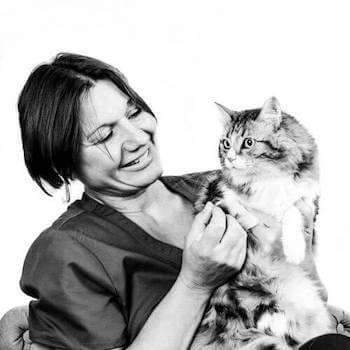 Dr Elisabeth Valli, Vétérinaire – Médecine interne – Échographies 