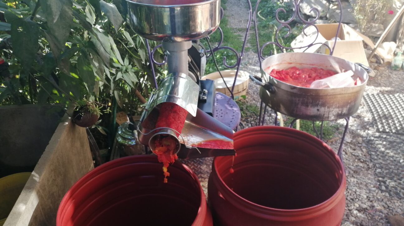 coulis tomates
